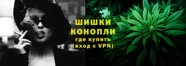 крисы Арсеньев