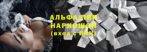 крисы Арсеньев